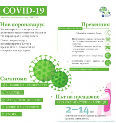 Информация за коронавирус (илюстрация)